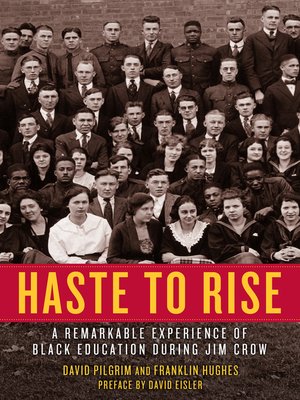 cover image of Haste to Rise